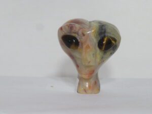 Alien Head with Tiger Eye Eyes Crazy Lace