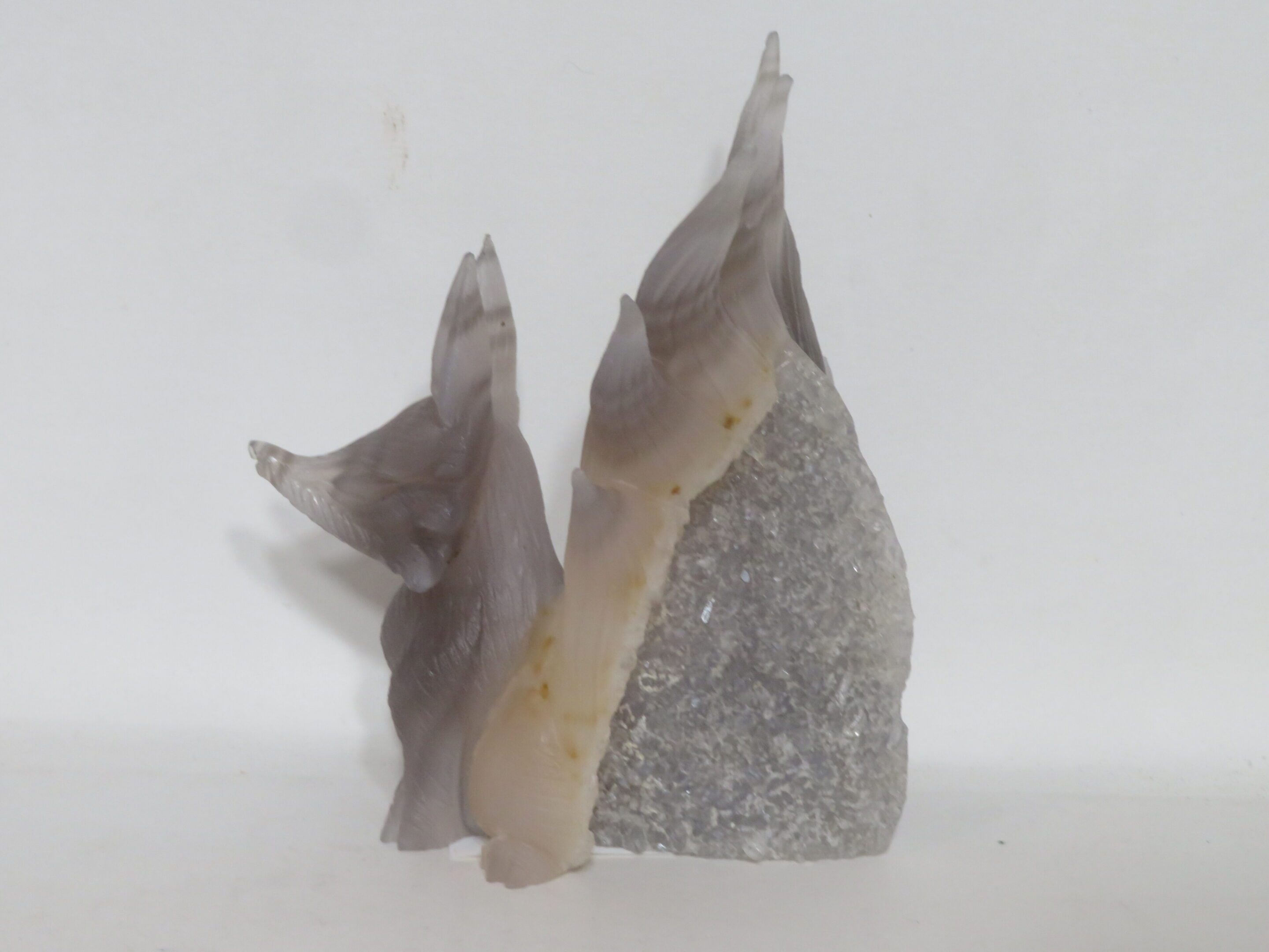 9 Tailed Fox Banded Grey Agate Druzy - Image 2