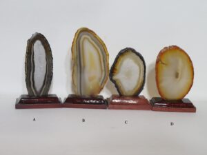 Geode Slice on Wooden Stand Brown