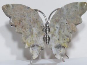 Semi Precious Stone Butterfly Lace Agate