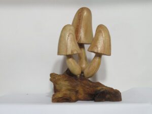Carved Wooden Mushrooms Natural