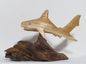 Wooden Shark on Wooden Base